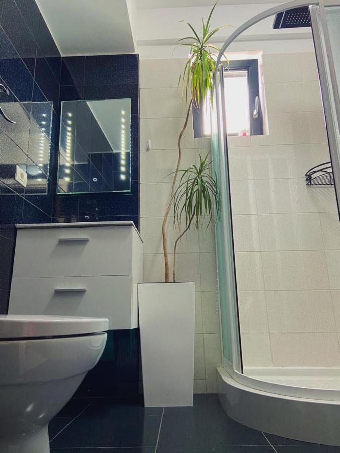Peacock Apartament- Stefan Building Appartamento Năvodari Esterno foto
